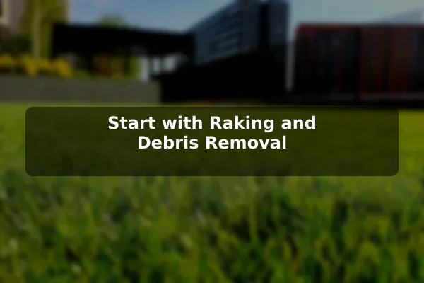 Start with Raking and Debris Removal