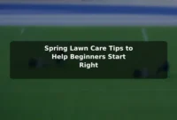Spring Lawn Care Tips to Help Beginners Start Right