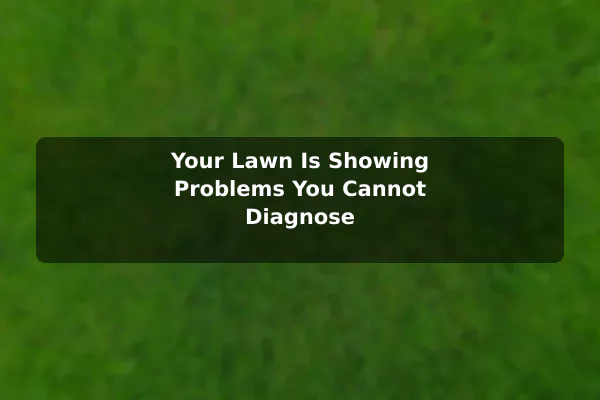 Your Lawn Is Showing Problems You Cannot Diagnose