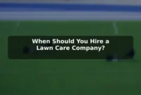 When Should You Hire a Lawn Care Company?
