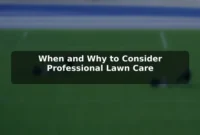 When and Why to Consider Professional Lawn Care