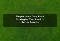 Simple Lawn Care (Plant) Strategies That Lead to Better Results