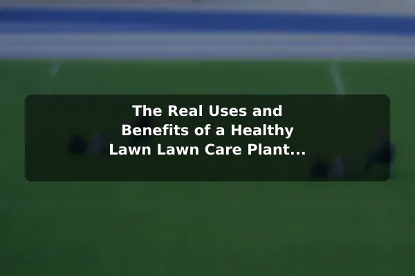 The Real Uses and Benefits of a Healthy Lawn Lawn Care Plant Explained: Uses, Risks, and Common Mistakes