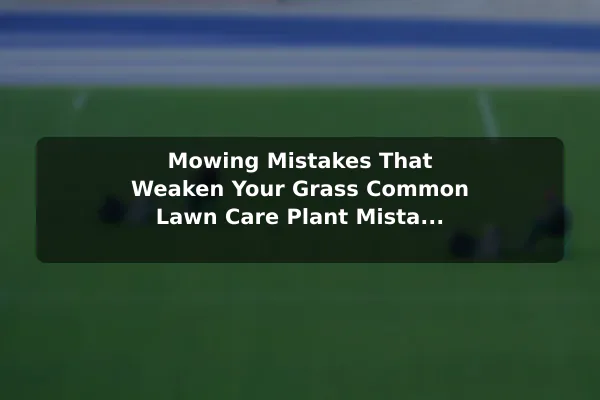 Mowing Mistakes That Weaken Your Grass Common Lawn Care Plant Mistakes and How to Avoid Them