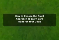 How to Choose the Right Approach to Lawn Care (Plant) for Your Goals