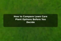 How to Compare Lawn Care (Plant) Options Before You Decide