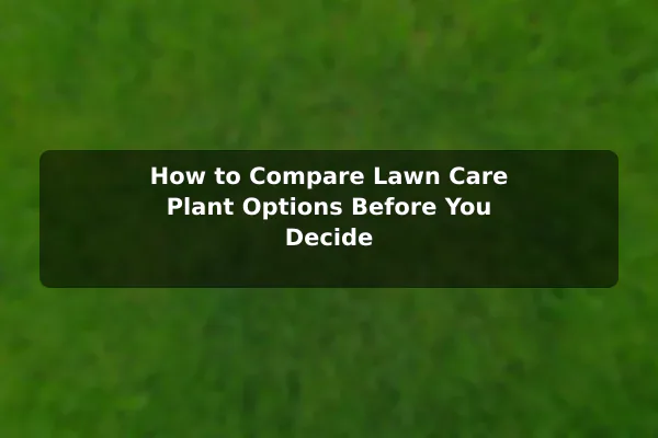 How to Compare Lawn Care (Plant) Options Before You Decide