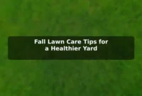 Fall Lawn Care Tips for a Healthier Yard