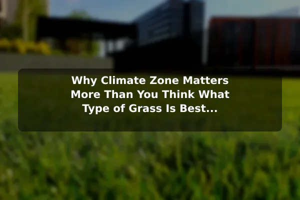 Why Climate Zone Matters More Than You Think What Type of Grass Is Best for Your Climate Zone?