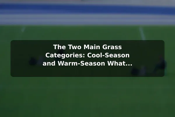 The Two Main Grass Categories: Cool-Season and Warm-Season What Type of Grass Is Best for Your Climate Zone?