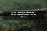 Lawn Drainage Explained: What Homeowners Should Know Lawn Drainage Explained: What Homeowners Should Know