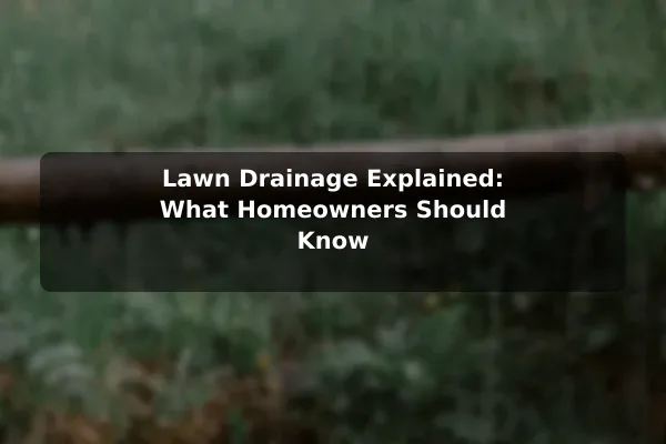 Lawn Drainage Explained: What Homeowners Should Know