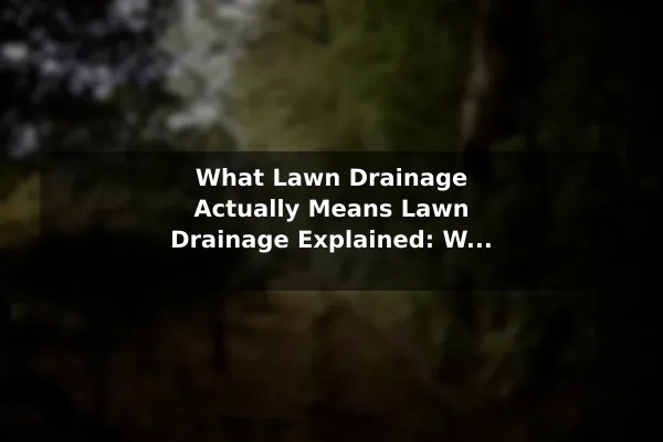 What Lawn Drainage Actually Means Lawn Drainage Explained: What Homeowners Should Know