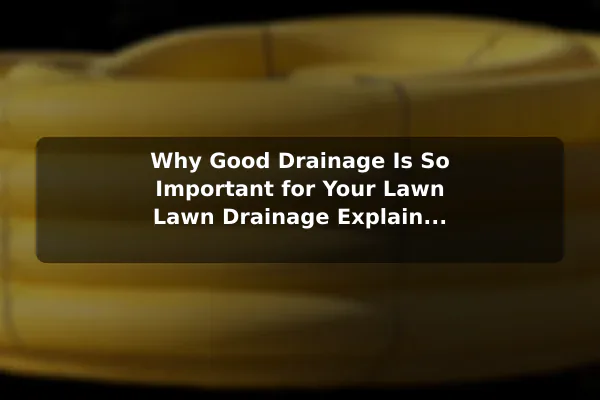 Why Good Drainage Is So Important for Your Lawn Lawn Drainage Explained: What Homeowners Should Know