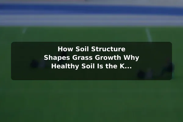 How Soil Structure Shapes Grass Growth Why Healthy Soil Is the Key to a Better Lawn