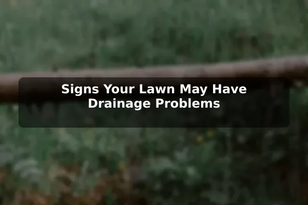 Signs Your Lawn May Have Drainage Problems