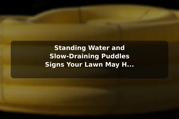 Standing Water and Slow-Draining Puddles Signs Your Lawn May Have Drainage Problems