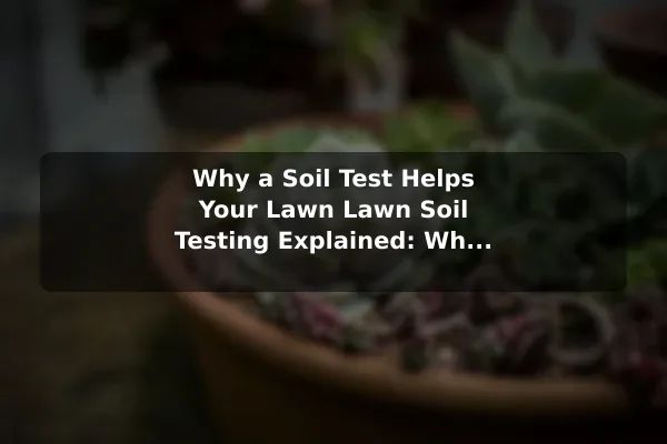 Why a Soil Test Helps Your Lawn Lawn Soil Testing Explained: Why It Helps
