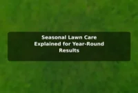 Seasonal Lawn Care Explained for Year-Round Results