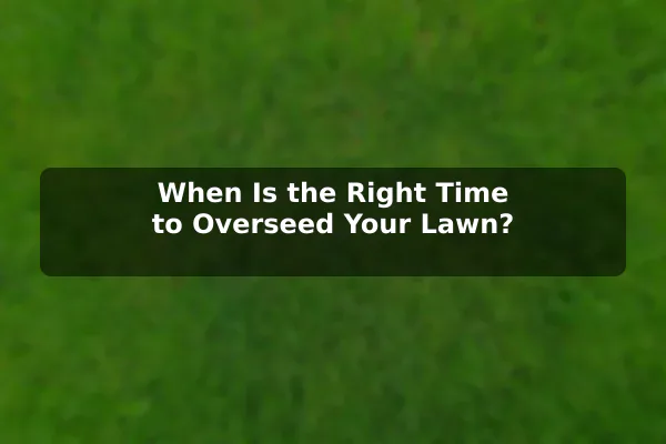 When Is the Right Time to Overseed Your Lawn?