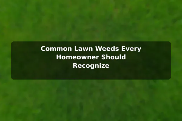Common Lawn Weeds Every Homeowner Should Recognize