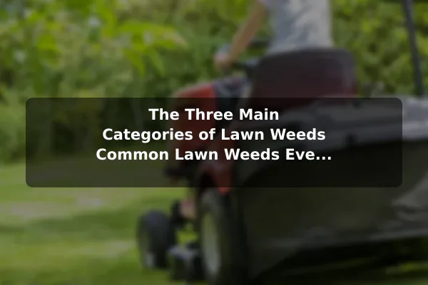 The Three Main Categories of Lawn Weeds Common Lawn Weeds Every Homeowner Should Recognize