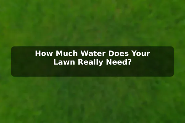 How Much Water Does Your Lawn Really Need?