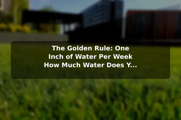 The Golden Rule: One Inch of Water Per Week How Much Water Does Your Lawn Really Need?