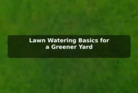 Lawn Watering Basics for a Greener Yard