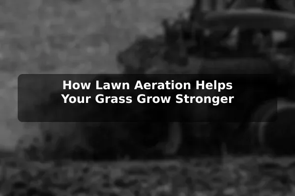 How Lawn Aeration Helps Your Grass Grow Stronger