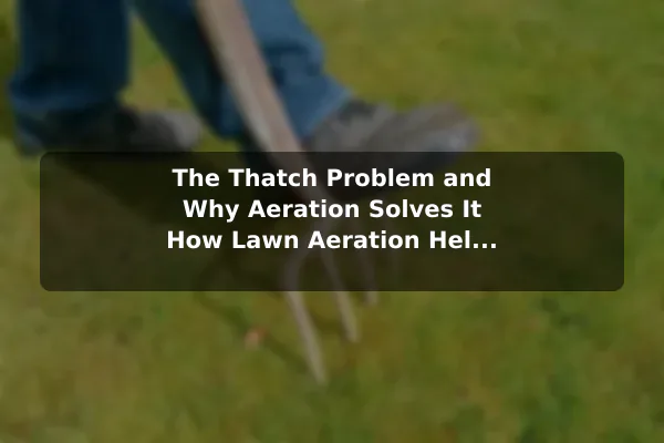 The Thatch Problem and Why Aeration Solves It How Lawn Aeration Helps Your Grass Grow Stronger