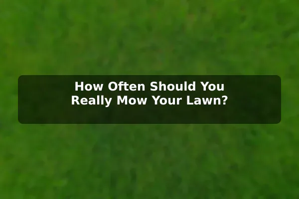 How Often Should You Really Mow Your Lawn?
