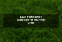 Lawn Fertilization Explained for Healthier Grass