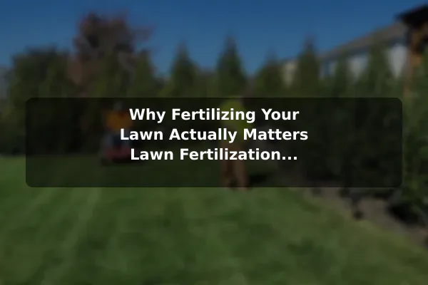 Why Fertilizing Your Lawn Actually Matters Lawn Fertilization Explained for Healthier Grass