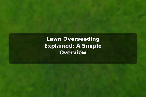 Lawn Overseeding Explained: A Simple Overview