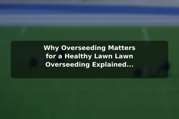 Why Overseeding Matters for a Healthy Lawn Lawn Overseeding Explained: A Simple Overview