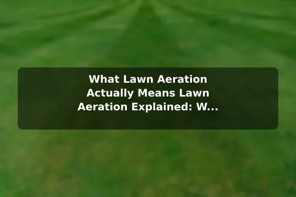 What Lawn Aeration Actually Means Lawn Aeration Explained: What It Means for Your Yard