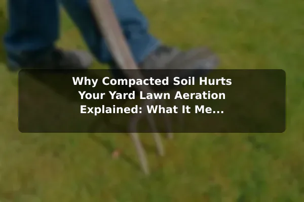 Why Compacted Soil Hurts Your Yard Lawn Aeration Explained: What It Means for Your Yard