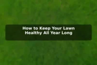 How to Keep Your Lawn Healthy All Year Long