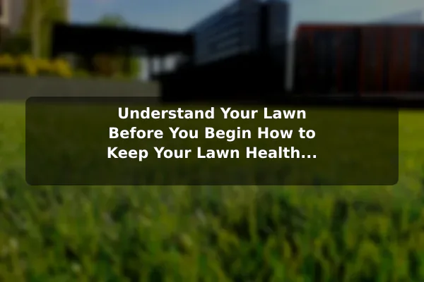 Understand Your Lawn Before You Begin How to Keep Your Lawn Healthy All Year Long