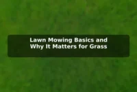Lawn Mowing Basics and Why It Matters for Grass