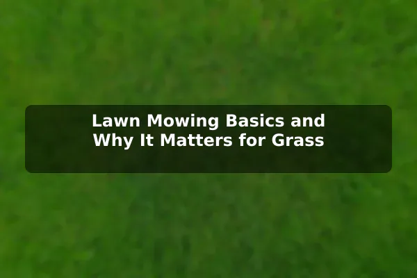 Lawn Mowing Basics and Why It Matters for Grass
