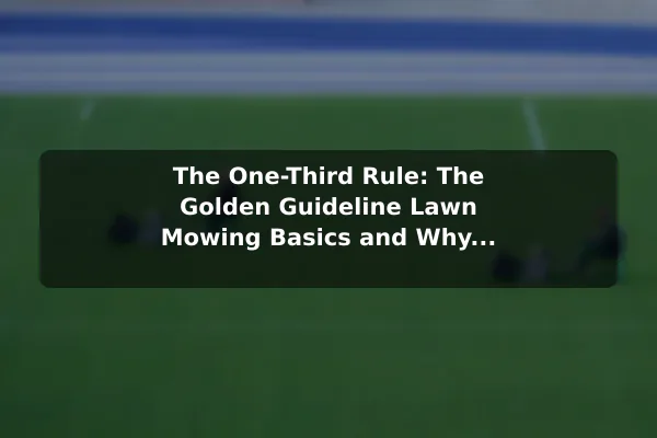The One-Third Rule: The Golden Guideline Lawn Mowing Basics and Why It Matters for Grass