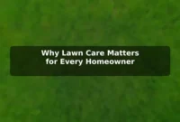 Why Lawn Care Matters for Every Homeowner