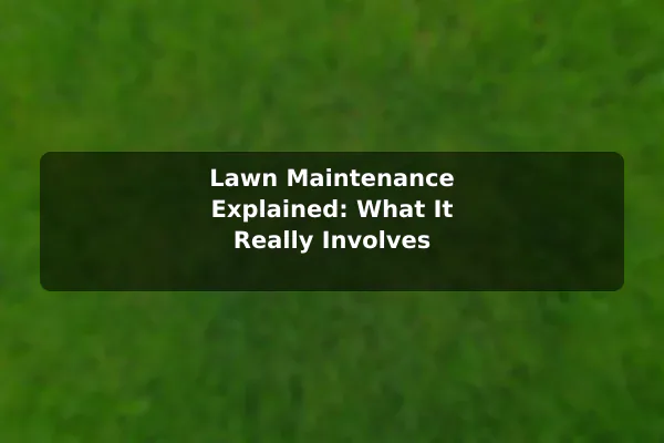 Lawn Maintenance Explained: What It Really Involves