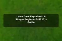 Lawn Care Explained: A Simple Beginner’s Guide