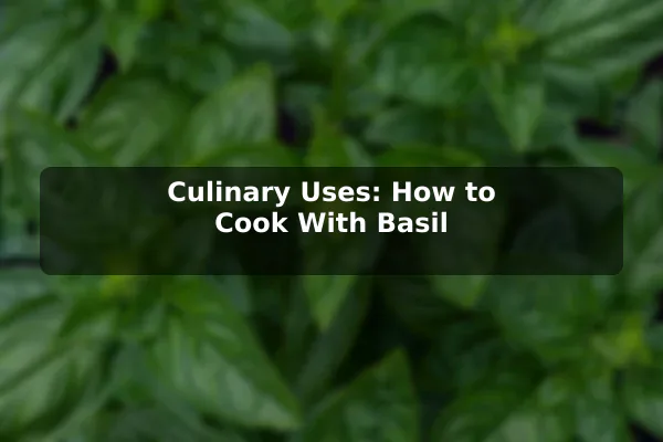 Culinary Uses: How to Cook With Basil