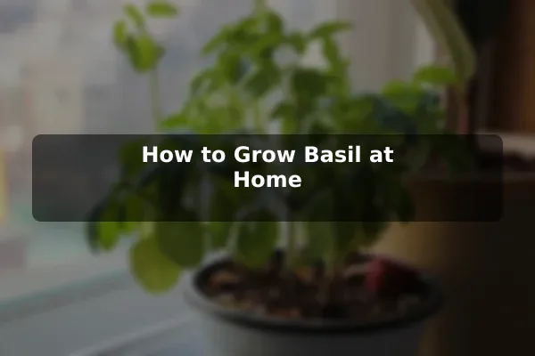 How to Grow Basil at Home