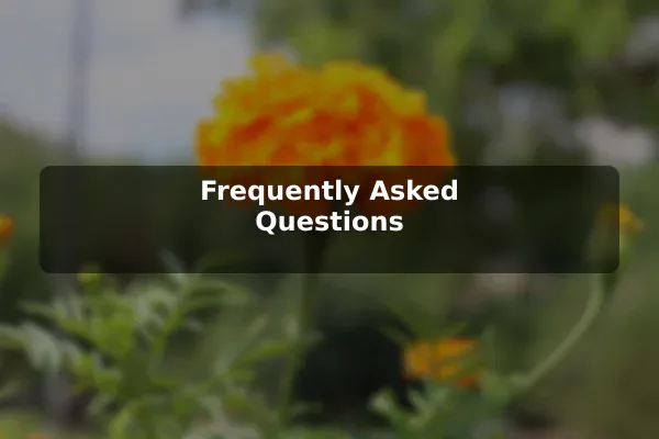 Frequently Asked Questions