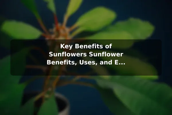 Key Benefits of Sunflowers Sunflower Benefits, Uses, and Easy Growing Guide